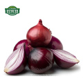 Chinese fresh red onion price per ton export